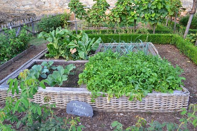 Créer un Potager en Permaculture avec des Carrés Surélevés!