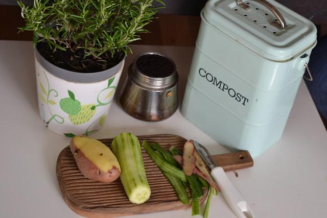 Composter ses Déchets de Cuisine en Appartement : Guide Pratique