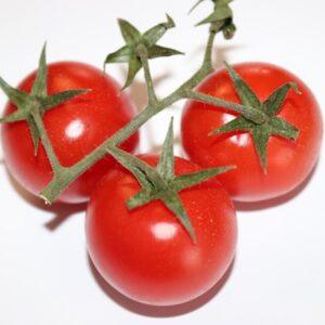 Semences de Tomate Heinz 1350 (Solanum lycopersicum)