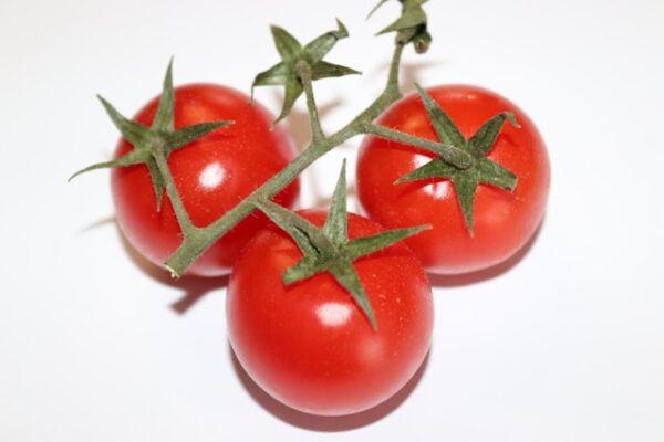 Semences de Tomate Heinz 1350 (Solanum lycopersicum)