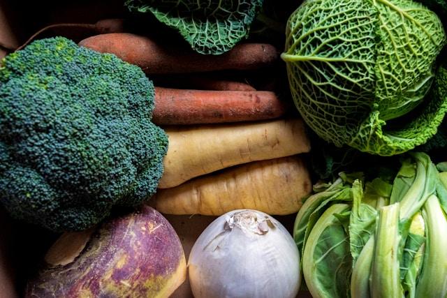 Les Légumes d’Hiver : Que Cultiver Même par Temps Froid ?
