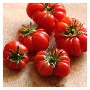 Semences de Tomate Rosso Sicilian (Solanum lycopersicum)