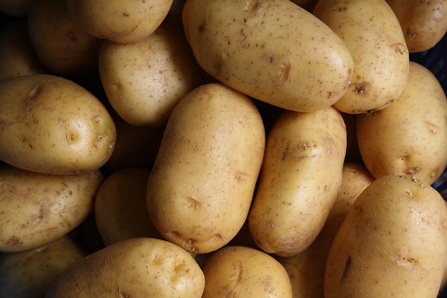 Cultiver des Pommes de Terre en Bac : Guide Complet pour une Récolte Facile et Abondante !
