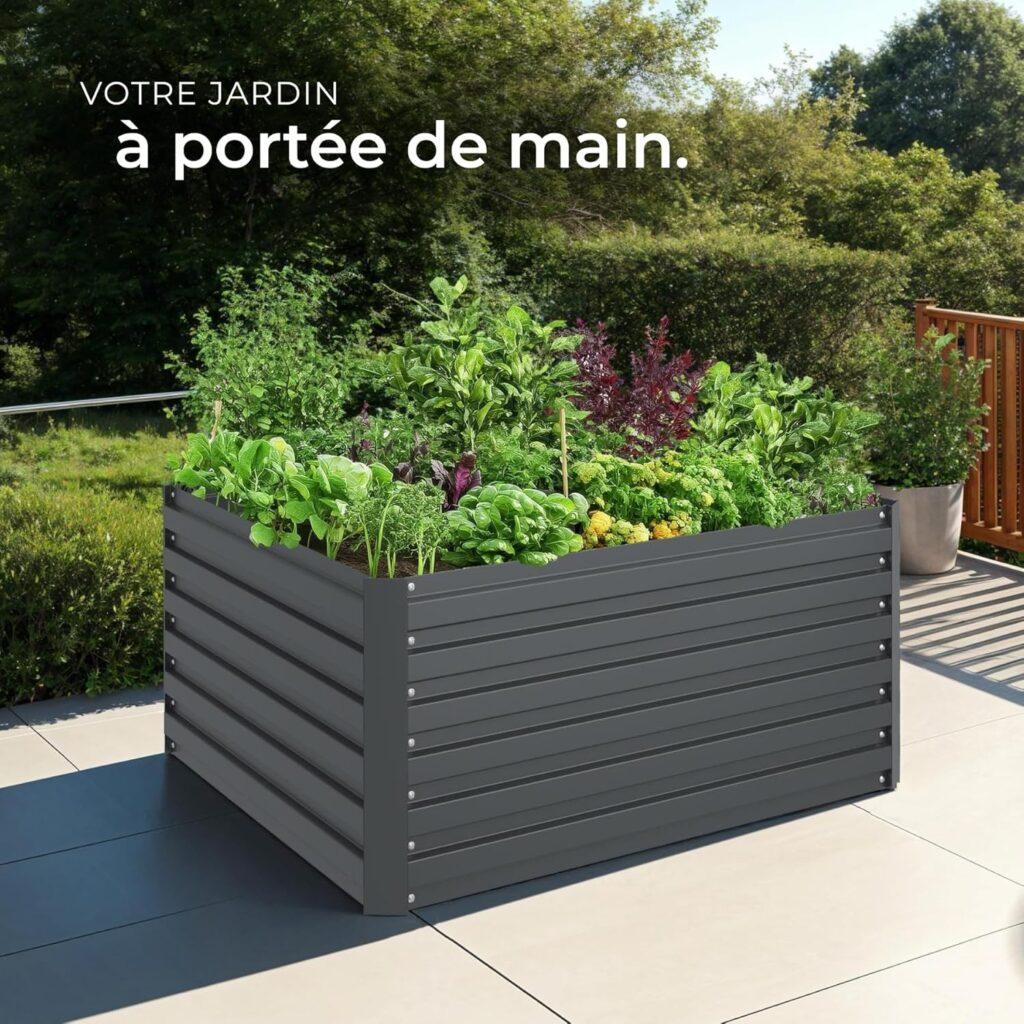 Laitues en pot ou jardiniere possible aussi