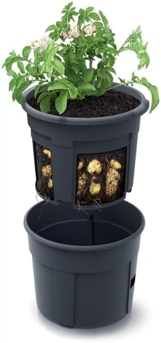 Pot a Pommes de Terre avec Trappe de Recolte
