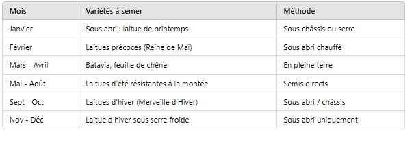 calendrier de semis a laitues