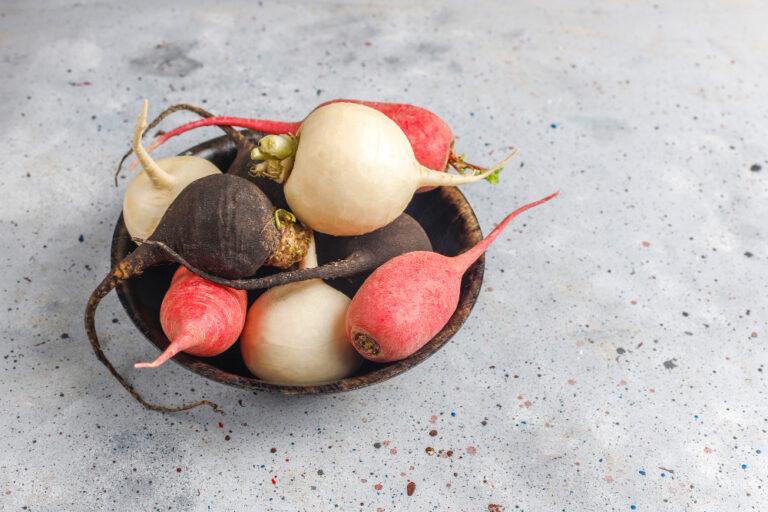 Les légumes oubliés à semer pour un potager original