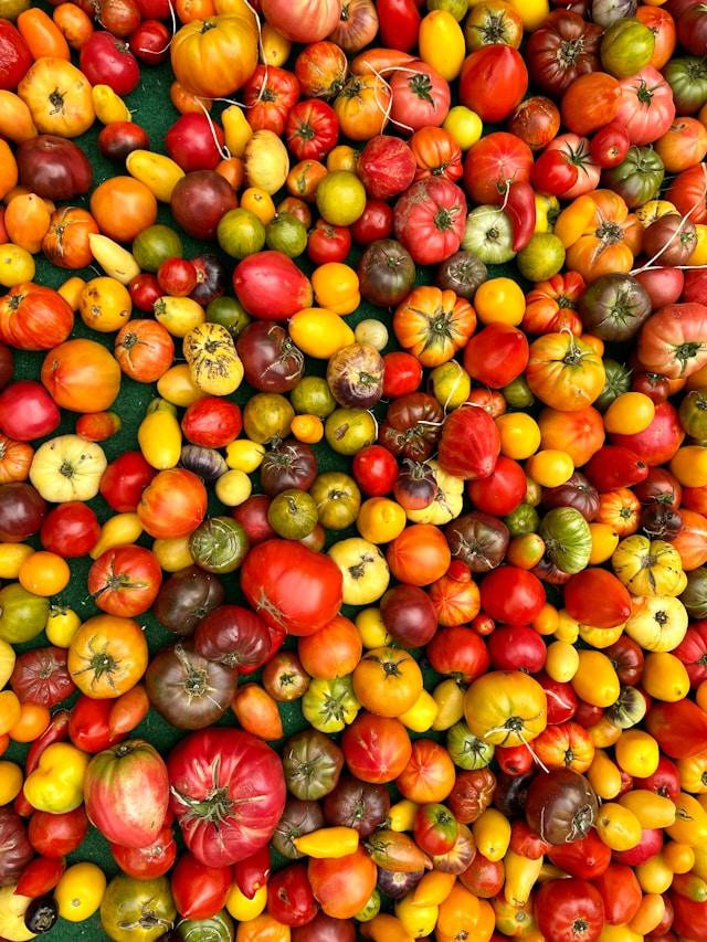 Lorigine de la tomate