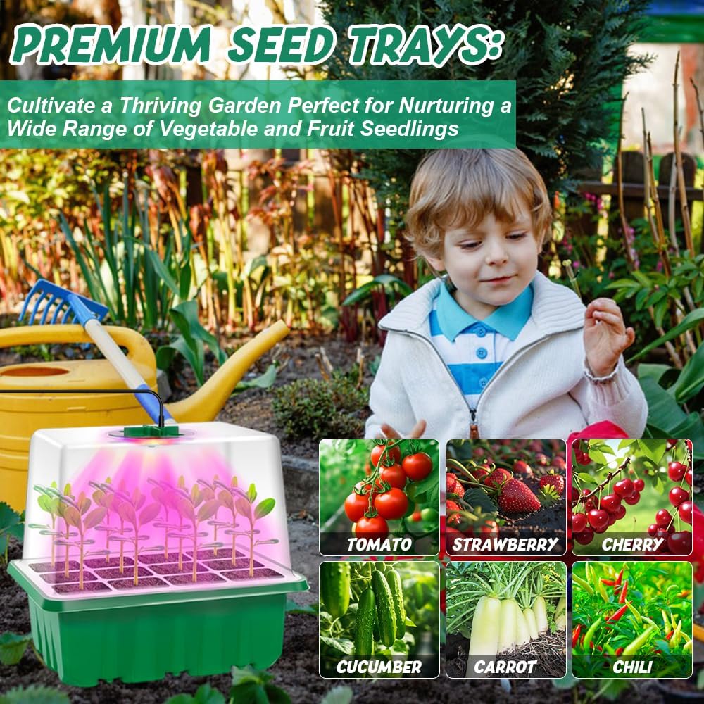 Mini Serre pour Plantes