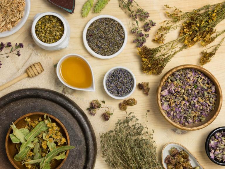 Créer un potager médicinal : les plantes qui soignent naturellement