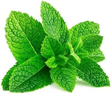 menthe