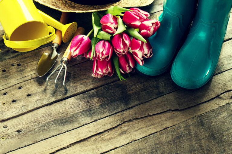 Que semer en mai au jardin ?  Légumes, aromatiques et fleurs à planter ce mois-ci