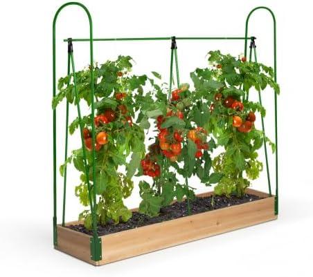 bac a tomates