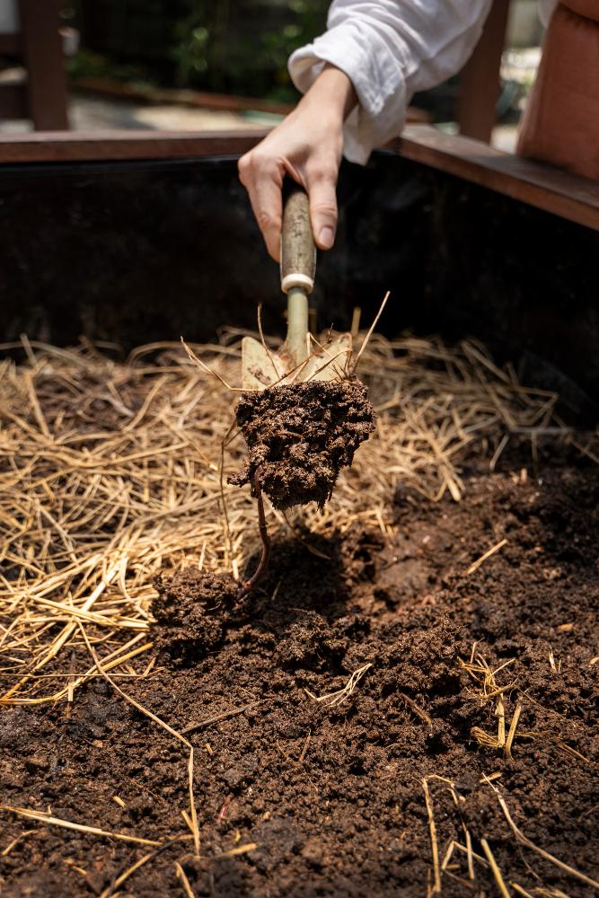 Faut-il retourner la terre au potager ? Méthodes douces & alternatives naturelles