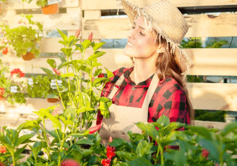 Créer un jardin comestible : entre beauté naturelle et utilité gourmande