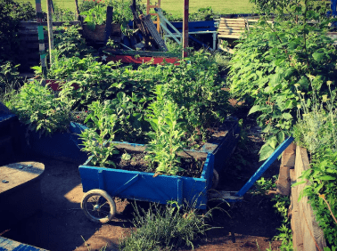 Permaculture : les bases pour débuter un potager durable